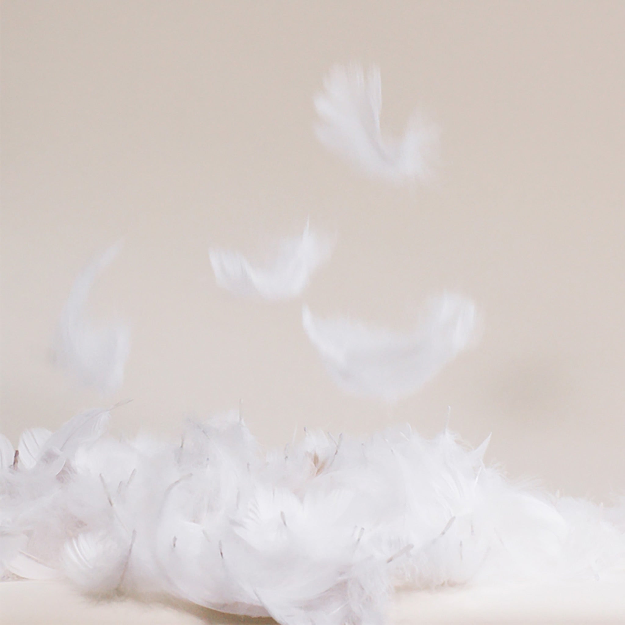 Down Comforter I6