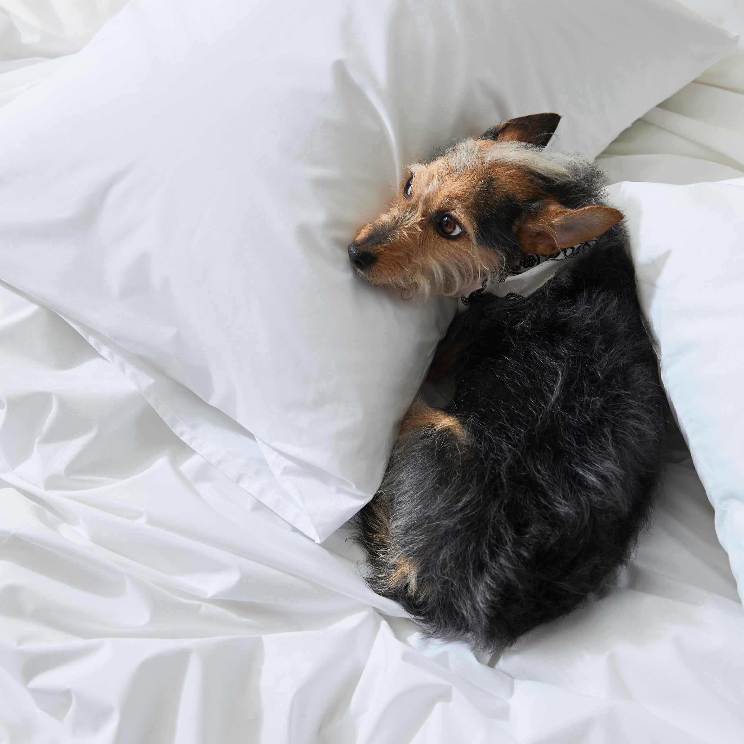 Classic Percale Duvet Cover S3
