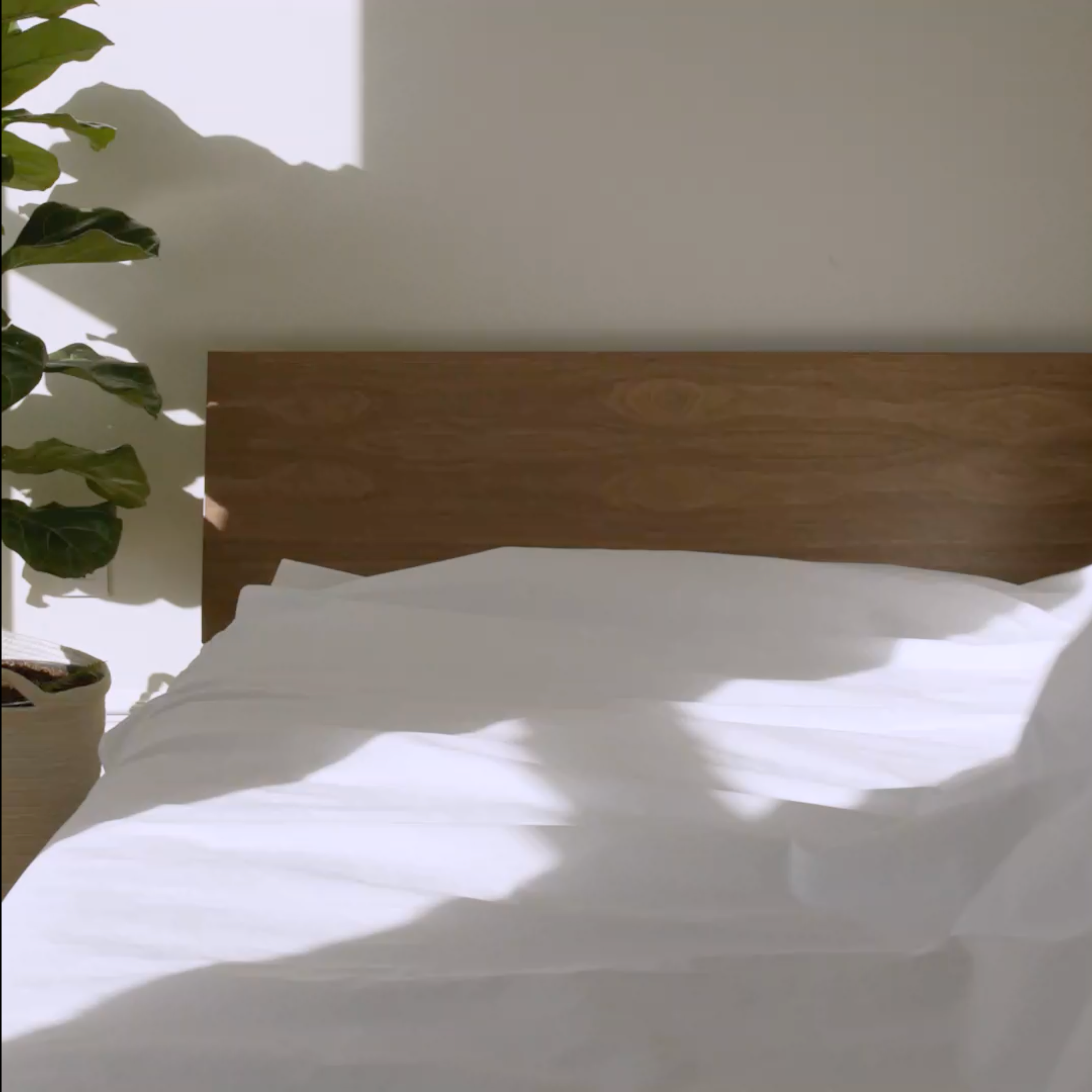 Classic Percale Core Sheet Set X5